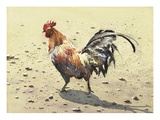 Buy Banty Rooster at AllPosters.com