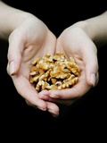 Buy Handful of Walnuts at AllPosters.com