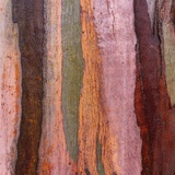 Sedimentary Strata