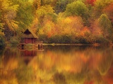 Buy Wooden Cabin on Lake in Autumn at AllPosters.com