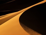 Sand Dunes Bathed in Evening Sunlight