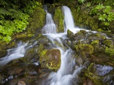 Buy Rushing Water at AllPosters.com