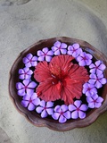 Buy Flowers Floating in Bowl of Water at AllPosters.com