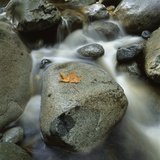 Flowing River