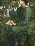 The Day Dream Photographic Print