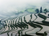 Buy Morning Fog Above Rice Fields at AllPosters.com