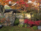 Autumn Foliage in Japanese Garden