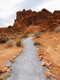 Rural Trail Through Desert