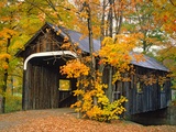 Covered Bridge and Maple Trees