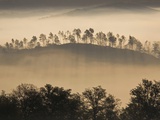 Italy, Tuscany, foggy landscape