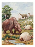 The toxodon, glyptodon and macrauchenias lived in South America