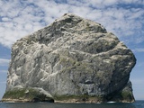 Buy Northern gannet nesting colony atop Stac Lee at AllPosters.com
