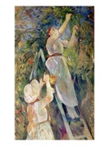 The Cherry Picker