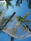 Hammock and Palm Tree, Great Barrier Reef, Northern Caye, Belize