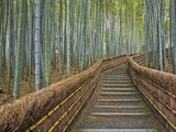 Bamboo Lined Path at Adashino Nembutsu-ji Temple