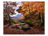 Autumn Gold