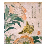 Peony and Canary