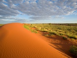 Sand dune, Cravens Peak Station, Australia