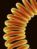 Buy Filament of light bulb at AllPosters.com