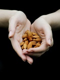 Buy Handful of Almonds at AllPosters.com