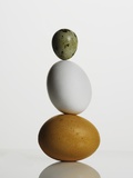 Quail and chicken eggs