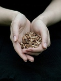 Handful of Lentils