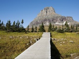 The pathway to the view of Hidden Lake