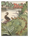 Buy Book Illustration of Mother Duck and Ducklings by Clifford Webb at AllPosters.com