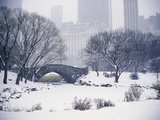 Buy Snow over Central Park in New York at AllPosters.com
