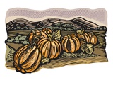 Pumpkin patch
