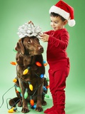 Young boy wrapping Christmas lights around a dog