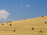Italy, Tuscany, Bales of straw on corn field