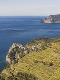 Italy, Liguria, Corniglia, Coast area
