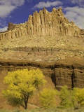 Buy Castle and Fluted Wall Formations in Capitol Reef National Park at AllPosters.com