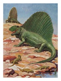 Dimetrodons' spines could grow up to four feet high