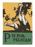 P is for pelican