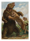 The slow megatherium was no match for the saber tooth tiger