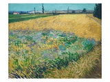 Buy Wheatfield at AllPosters.com
