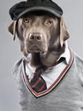 Dog in sweater and cap Photographic Print