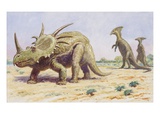 Both the styracosaurus (right) and the parasaurolohus were herbivores