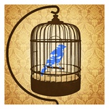 Bird in a cage