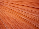 USA Utah South Coyote Buttes Sandstone rock close-up full frame