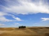 Orcia valley in autumn