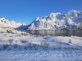 Buy Coastal mountains in the Lofoten Islands in new snow at AllPosters.com