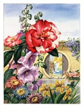 Portrait of flowers native to China