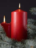 Two Candles Among Pine Branches
