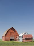 Red Barns in the Middle of a Large Flat Field in the Prairie Land of Southern Saskatchewan, Canada