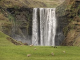 Skogarfoss with grazing sheep