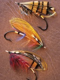 Flyfishing: Full Dressed Atlantic Salmon Flies, Canada.
