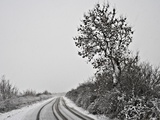 Winding road covered in snow Photographic Print